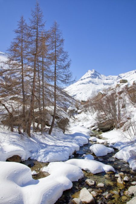 Haute maurienne vanoise parc national de la vanoise savoie mont blanc val cenis bonneval sur arc