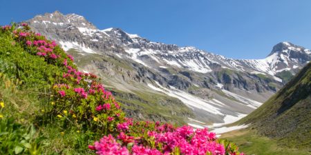 Haute maurienne vanoise parc national de la vanoise savoie mont blanc val cenis