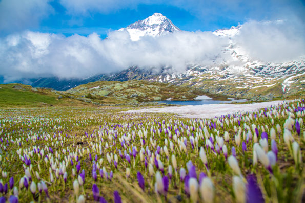haute maurienne vanoise parc national de la vanoise savoie mont blanc val cenis termignon lac blanc