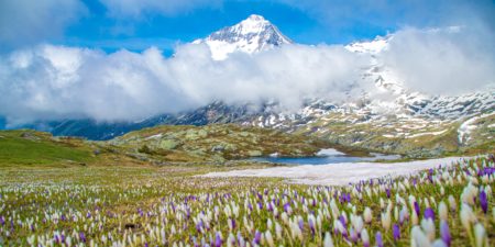 Haute maurienne vanoise parc national de la vanoise savoie mont blanc val cenis termignon