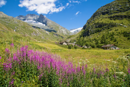 haute maurienne vanoise parc national de la vanoise savoie mont blanc val cenis bessans