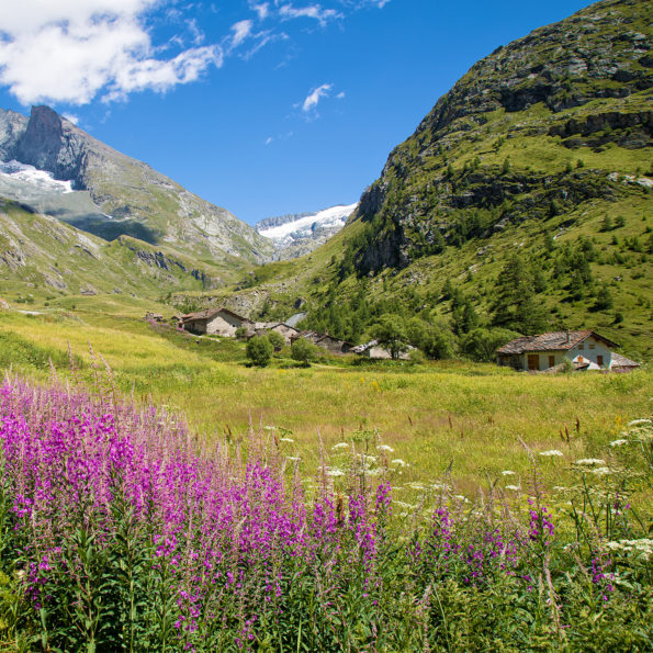 Haute maurienne vanoise parc national de la vanoise savoie mont blanc val cenis bessans