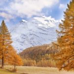 Haute maurienne vanoise parc national de la vanoise savoie mont blanc val cenis bessans