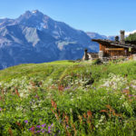haute maurienne vanoise parc national de la vanoise savoie mont blanc tourisme valcenis bramans