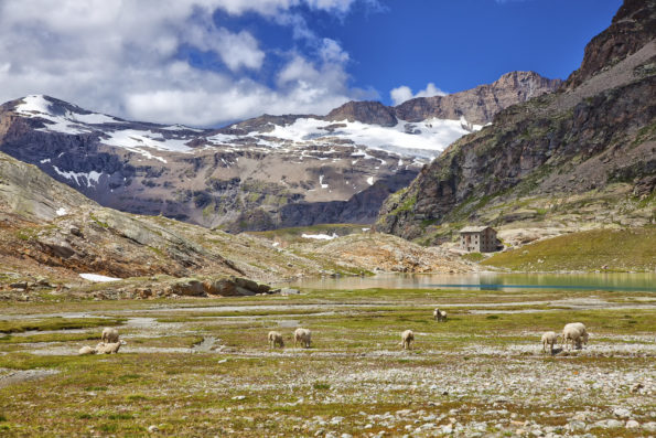 haute maurienne vanoise parc national de la vanoise savoie mont blanc tourisme bonneval sur arc