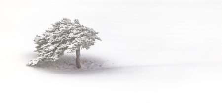 seul au monde haute maurienne vanoise parc national de la vanoise neige isolé savoie mont blanc