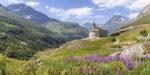 609 50X100.chapelle ecot epilobes