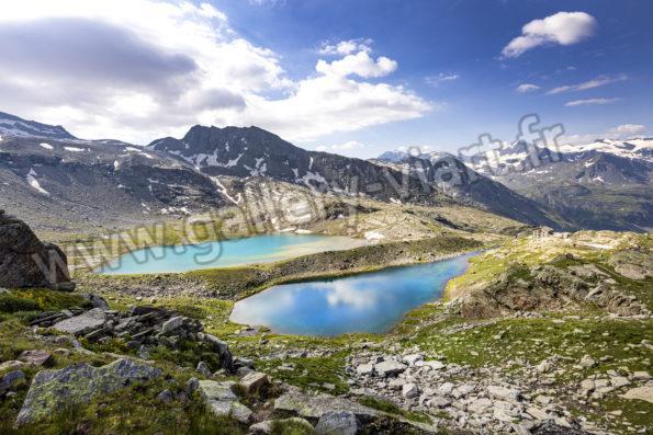 Haute maurienne vanoise savoie mont blanc parc national de la vanoise espace préservé mont cenis marmotte tour des glaciers de la vanoise GR5