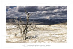 exposition photo, road trip ouest américain photos parcs nationaux USA photo en vanlife