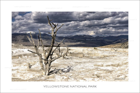 exposition photo, road trip ouest américain photos parcs nationaux USA photo en vanlife