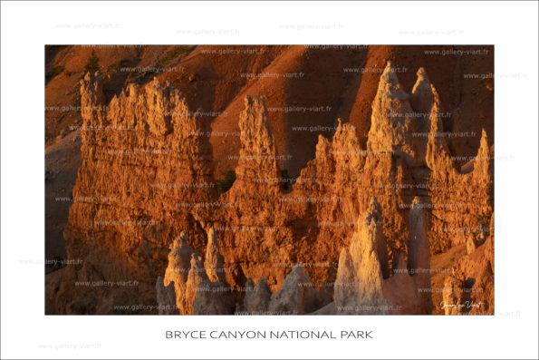 exposition photo, road trip ouest américain photos parcs nationaux USA photo en vanlife