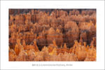 exposition photo, road trip ouest américain photos parcs nationaux USA photo en vanlife