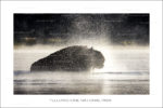376.yellowstone 40×60