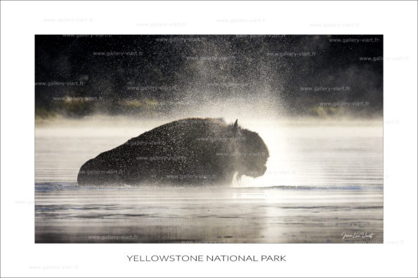 exposition photo, road trip ouest américain photos parcs nationaux USA photo en vanlife