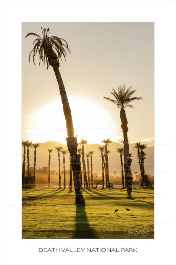 exposition photo, road trip ouest américain photos parcs nationaux USA photo en vanlife Death Valley photo