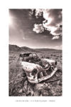 exposition photo, road trip ouest américain photos parcs nationaux USA photo en vanlife Death Valley photo