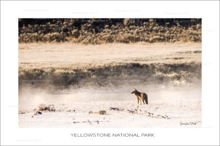 exposition photo, road trip ouest américain photos parcs nationaux USA photo en vanlife