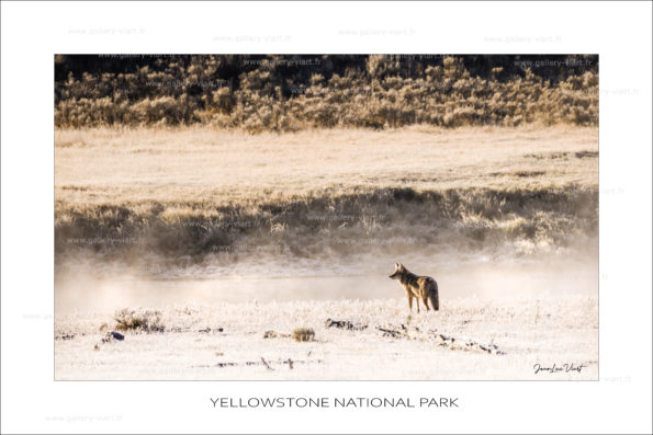exposition photo, road trip ouest américain photos parcs nationaux USA photo en vanlife