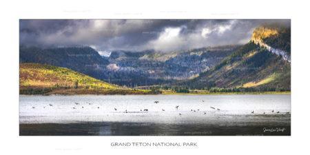 exposition photo, road trip ouest américain photos parcs nationaux USA photo en vanlife