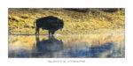 exposition photo, road trip ouest américain photos parcs nationaux USA photo en vanlife