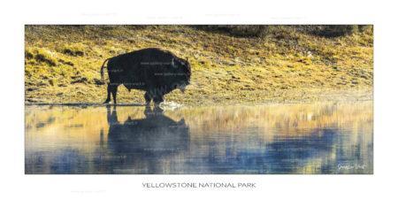 exposition photo, road trip ouest américain photos parcs nationaux USA photo en vanlife