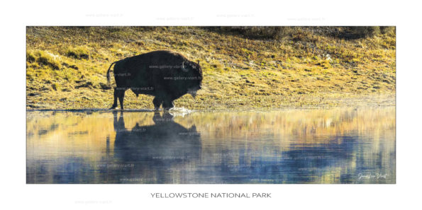 exposition photo, road trip ouest américain photos parcs nationaux USA photo en vanlife