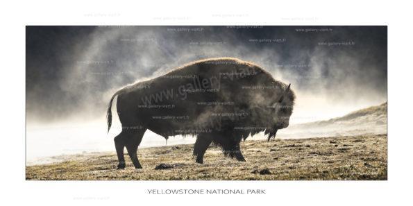 exposition photo, road trip ouest américain photos parcs nationaux USA photo en vanlife