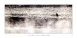 1250.yellowstone 40×80