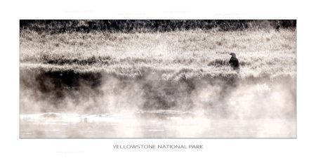 exposition photo, road trip ouest américain photos parcs nationaux USA photo en vanlife