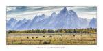 1536. grand teton