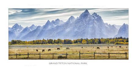 exposition photo, road trip ouest américain photos parcs nationaux USA photo en vanlife