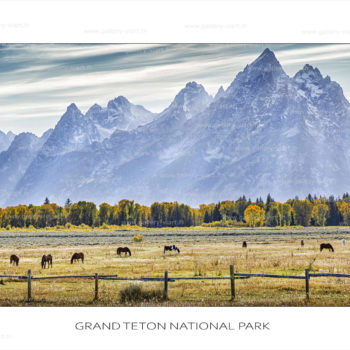exposition photo, road trip ouest américain photos parcs nationaux USA photo en vanlife