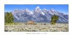 exposition photo, road trip ouest américain photos parcs nationaux USA photo en vanlife