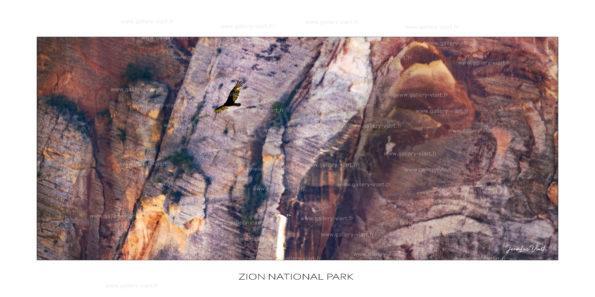 exposition photo, road trip ouest américain photos parcs nationaux USA photo en vanlife Zion National Park The Narrows Zion
