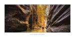 exposition photo, road trip ouest américain photos parcs nationaux USA photo en vanlife Zion National Park The Narrows Zion