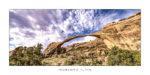 3260.arches 40×80