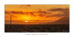 San Francisco : l'incontournable Golden Bridge N° US 3526