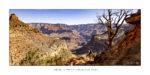 4410.grand canyon 40×80
